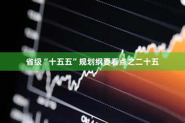 省级“十五五”规划纲要看点之二十五