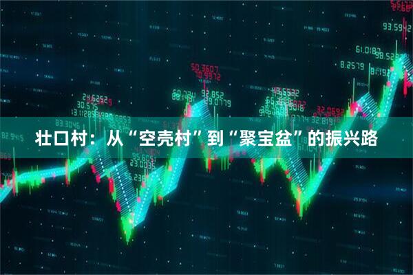 壮口村：从“空壳村”到“聚宝盆”的振兴路